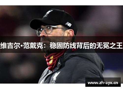 维吉尔·范戴克:稳固防线背后的无冕之王 维吉尔·范戴克:稳固防线背后的无冕之王